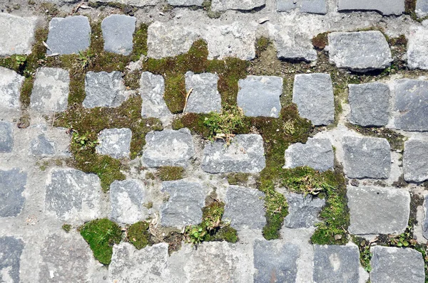 Overhead Ansicht der Kopfsteinpflaster Straße Textur mit Gras. — Stockfoto