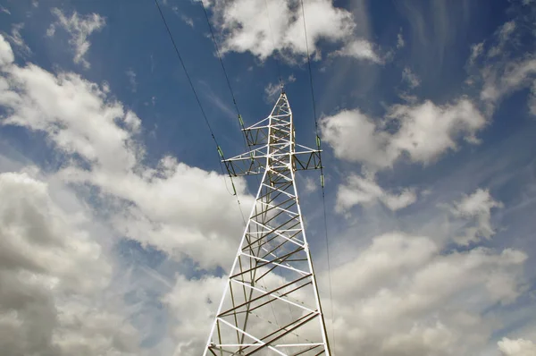 Albero della linea elettrica contro il cielo blu. — Foto Stock