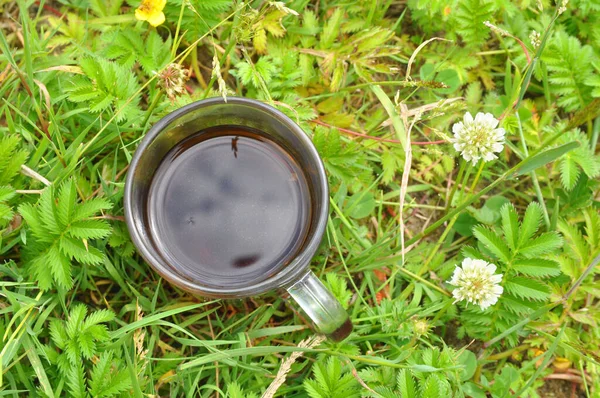 A cup of hot herbal tea in meadow herbs. Summer sunny day — Stock Photo, Image