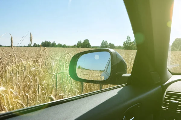 Widok Pole Żyta Wnętrza Samochodu Lusterko Wsteczne — Zdjęcie stockowe