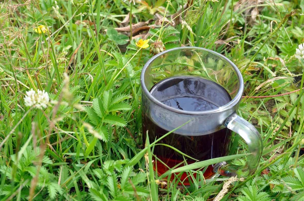 A cup of hot herbal tea in meadow herbs. Summer sunny day — Stock Photo, Image