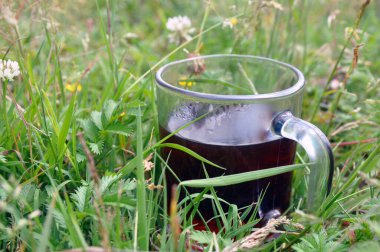 Çayır otlarının içinde bir fincan sıcak bitki çayı. Yaz güneşli bir gün, açık hava eğlencesi