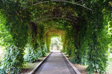 Parktaki patikada paraşüt pergola var. Sarmaşıklardaki yeşil bitkiler gölge sağlar. Yaz sıcağında serinlik