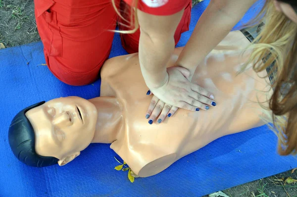 dummy for training in the implementation of resuscitation measures. Indirect cardiac massage. First aid.