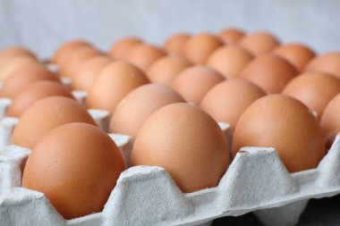 Otuz taze kahverengi yumurta