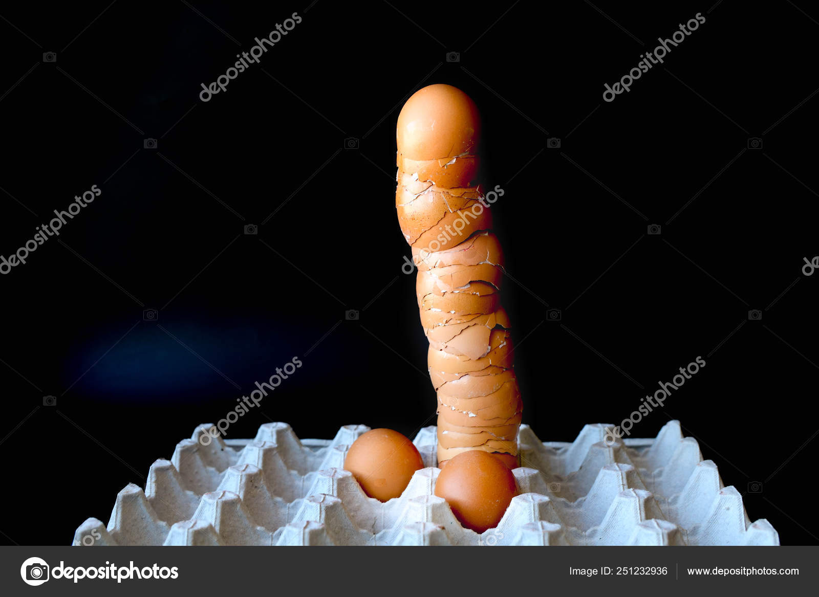 jak velký je vztyčený penis