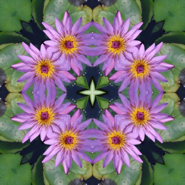 Bir kaleydoskopun nilüfer çiçeği deseninin soyut arkaplanı. Pembe yeşil arka plan fraktal mandala. Soyut kaleydoskopik arabesk. Geometrik süsleme çiçek deseni