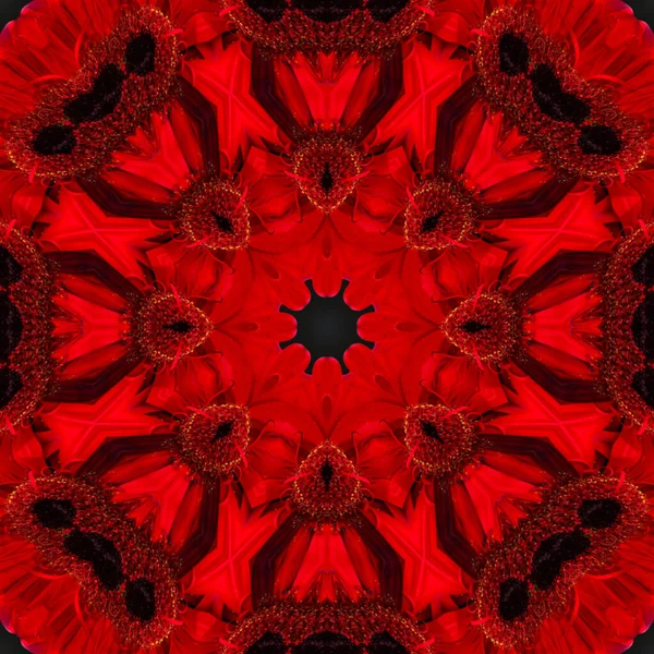 Sfondo Astratto Modello Floreale Caleidoscopio Mandala Frattale Sfondo Nero Rosso — Foto Stock