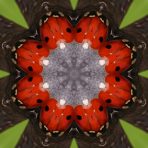 kaleidoscope effect from green leaves and ladybug evenly becomes a beautiful red brown green background like ornament.