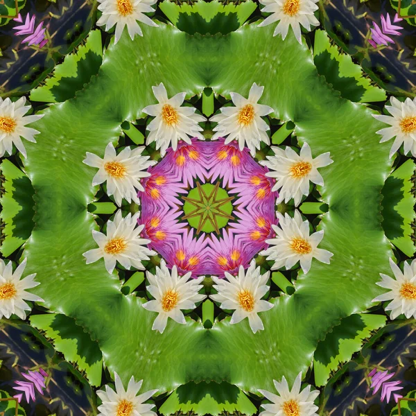 abstract background of lotus flower pattern of a kaleidoscope. pink green background fractal mandala. abstract kaleidoscopic arabesque. geometrical ornament floral pattern