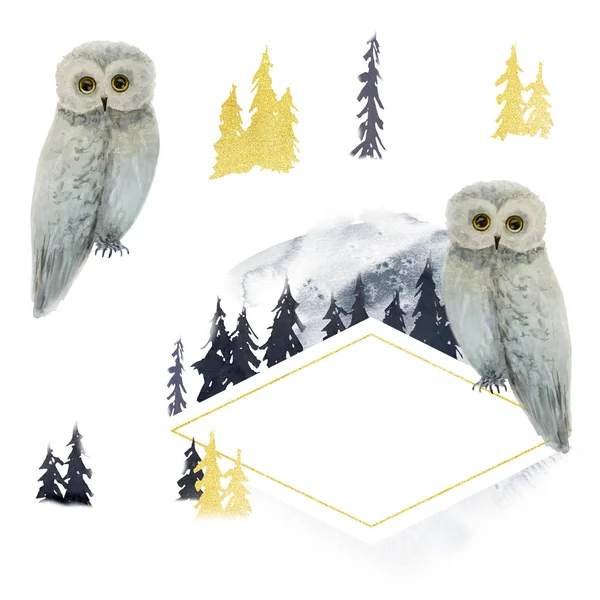 Акварель. Поздравление с Новым годом. рамка для логотипа с совой — стоковое фото