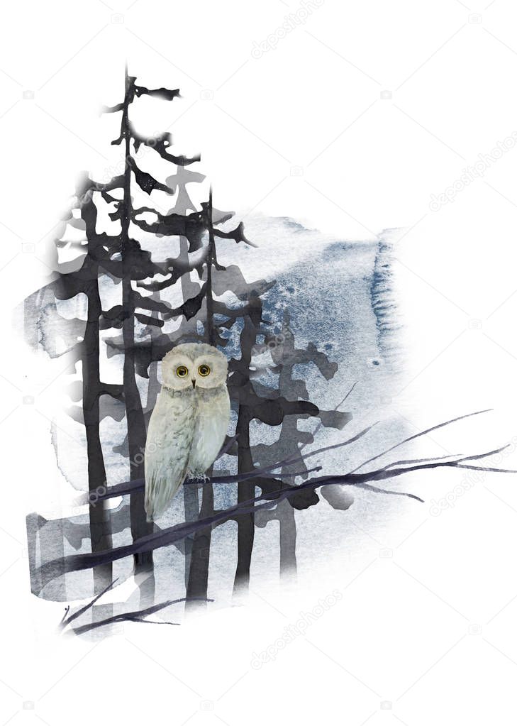 Watercolor winter landscape with owl on tree in dark forest