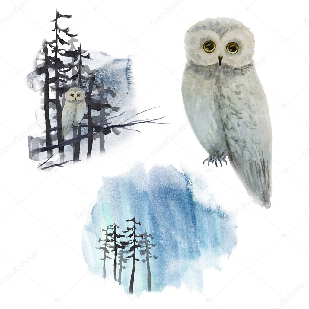 Watercolor winter landscape with owl on tree in dark forest. set. Perfect for print, christmas and new year greeting cards