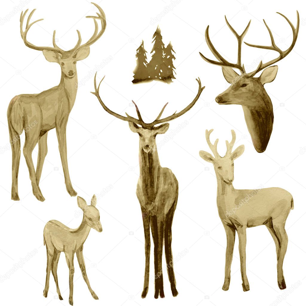 Handpainted watercolor deer in evening forest set. Perfect for print, christmas and new year greeting cards. Watercolor l illustration isolated on white background.