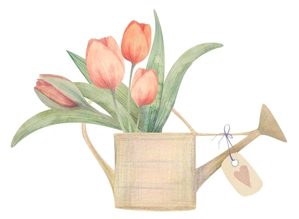 Aquarell handgezeichneter Frühlingsstrauß mit Tulpen. für Plakate, Karten, Design und Logo — Stockfoto