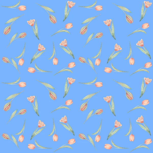 Akvarel-ručně tažené bezešvé pattern. Jarní růžové tulipány — Stock fotografie