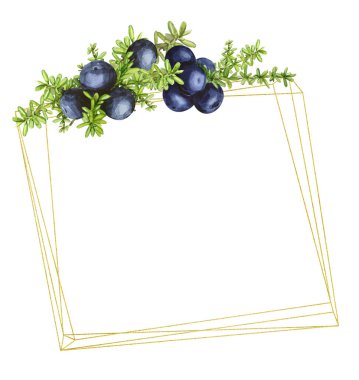 Kara orman ile Altın geometrik çerçeve crowberry kuzey meyveleri, suluboya boyalı. Düğün davetiyeleri, kartlar, logolar için idealdir