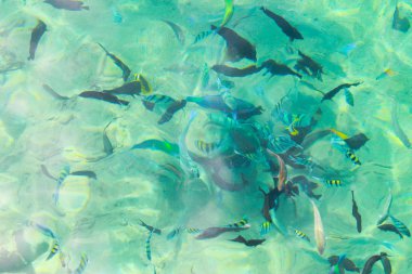 Mavi deniz suyu yüzeyi. Mavi sıvı yansımaları fotoğraf duvar kağıdı. Hala deniz kıyısının dalgalı suyu. Balıkile denizde doğal su. Deniz suyu dokusu