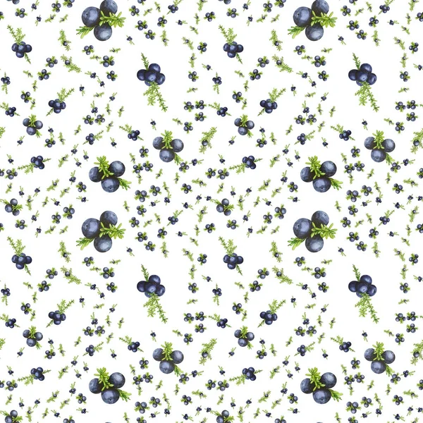 Seamless pattern with black forest northern berries of the crowberry, painted in watercolor. Ideal for wedding invitations, cards, logos — Stock Photo, Image