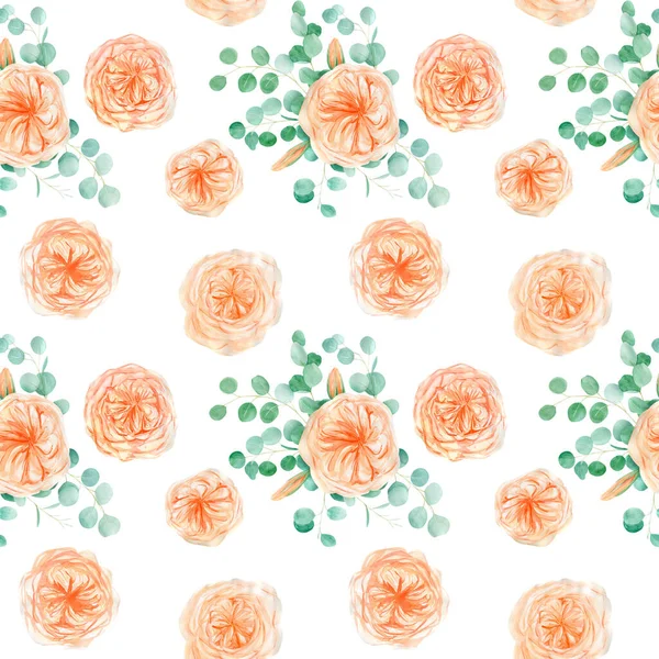 Patrón sin costura con melocotón y naranja con Inglés Rose Austin Flower y Eucalyptus Background y Eucalyptus —  Fotos de Stock