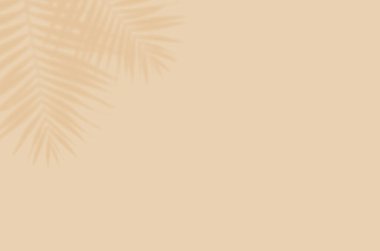 Gölgelerin yaz arkaplanı resim ya da maket yapmak için duvarda bırakılır