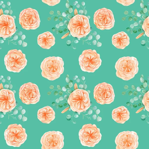 Seamless Pattern with Peach English Rose Austin Flower and Eucalyptus Background