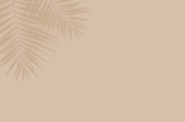 Gölgelerin yaz arkaplanı resim ya da maket yapmak için duvarda bırakılır