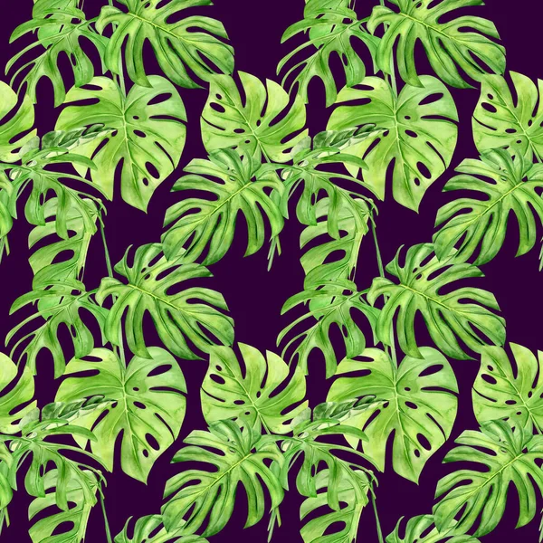 Akvarell illustration sömlös mönster av tropiska blad monstera. Perfekt som bakgrundskonsistens, omslagspapper, textil eller tapetdesign. Handritad — Stockfoto