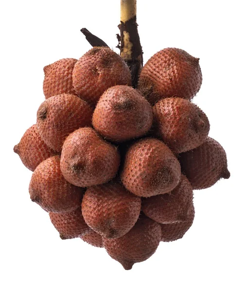 Salak Frucht Salacca Frucht Isoliert Auf Weißem Hintergrund Mit Schneideweg — Stockfoto