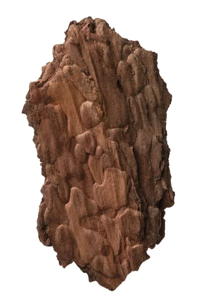 Piece Pine Bark Tree Bark Isolated White Background Clipping Path — Stock Photo, Image