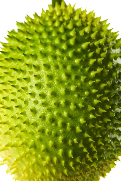 Gac Υφή Φρούτων Gac Φρούτα Baby Jackfruit Απομονώνονται Λευκό Φόντο — Φωτογραφία Αρχείου