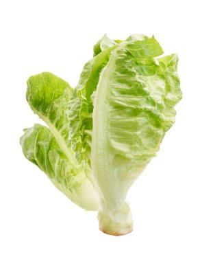 Yeşil Romaine marulu ya da Cos marulu, Sebze Bebek Cos, kesme yolu olan beyaz arka planda izole edilmiş.