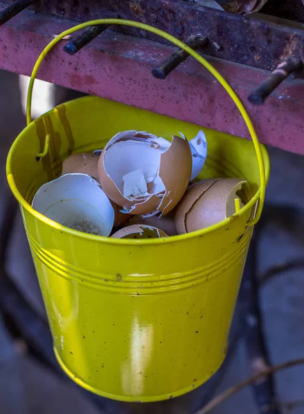 Yumurta kabukları portre biçiminde resim kompostlama için kullanılmak üzere konut bir mutfak