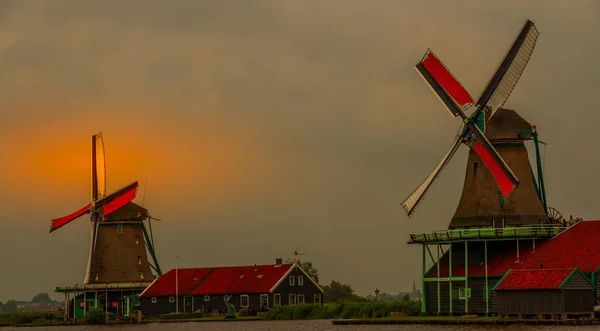 Zaamdam, Hollanda - 28 Temmuz 2016: bazı tarihi Hollanda köyü resim Zaanse Shans mahallede kopya alanı manzara biçiminde olan yel değirmenleri