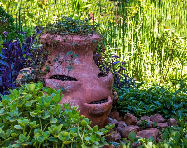 Pareidolia Tendency See Faces Strange Places Face Pot Plant Image — Stock Photo, Image