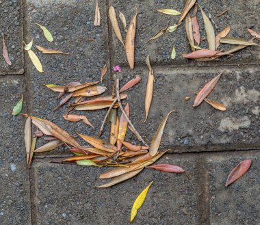 Tuğla döşeli yüzey görüntüsüne kopya alanı ile arka plan kullanmak için sonbahar yaprakları