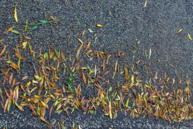 Küçük bir yol yüzeye su görüntü arka plan kopya alanı ile kullanmak için sel tarafından yıkanmış bırakır