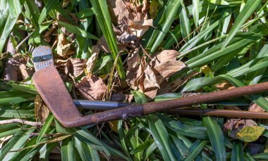 Hickory golf kulüpleri retro spor ekipman görüntü kopya alanı ile izole - şaftlı
