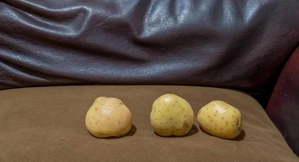 Três Batatas Frescas Conceito Preguiçoso Sofá Marrom Imagem Com Espaço — Fotografia de Stock