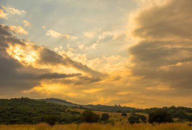 Kopya alanı ile sabah erken bir kırsal görüntü üzerinde Sunrise