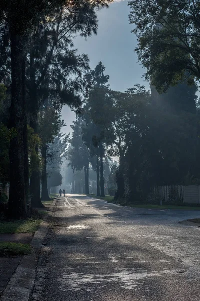 Dos Personas Caminando Por Una Calle Oscura Bordeada Árboles Altos — Foto de Stock