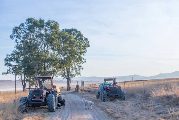 Kopya alanı ile Güney Afrika görüntü peyzaj biçiminde Farmland