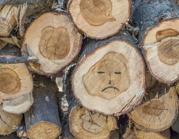 A sad face drawn on a log from a chopped down tree image in horizontal format