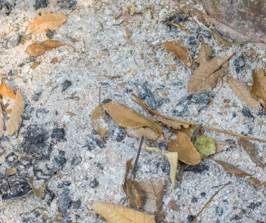 Küller ve kuru yapraklar arka plan kullanımı için yakın görüntü kadar izole ve kopyalama alanı ile