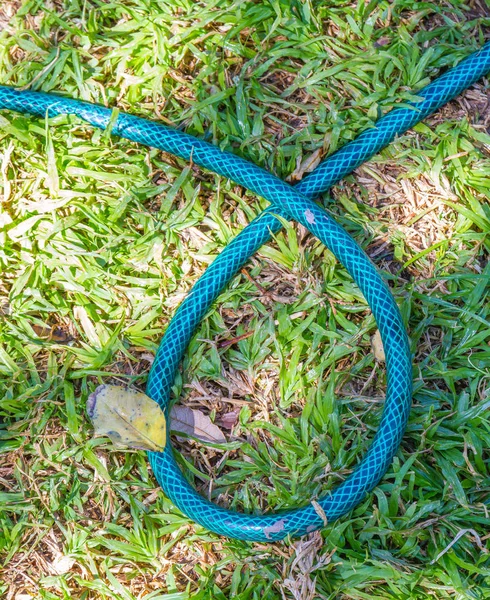 Green Hosepipe Loop Shape Green Lawn Grass Image Copy Space — Stock Photo, Image