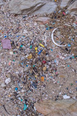 Sahilde bulunan deniz kabukları arasında tek kullanımlık plastik kirliliği.