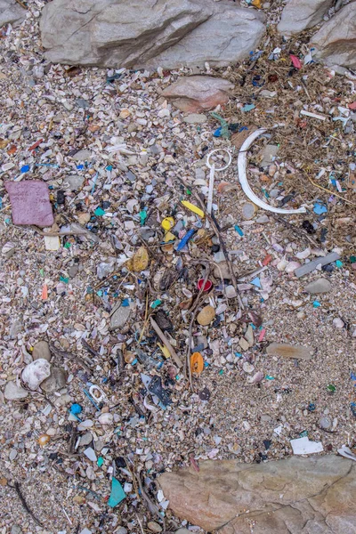 Sahilde bulunan deniz kabukları arasında tek kullanımlık plastik kirliliği.