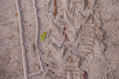 Araç izleri ve kumlu toprağa gömülmüş bir ayakkabı izi.