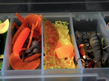 Yırtıcı balık yakalamak için yem olarak kullanılıyor.