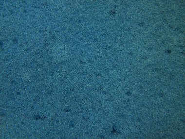 Süngerin yakın çekim dokusu